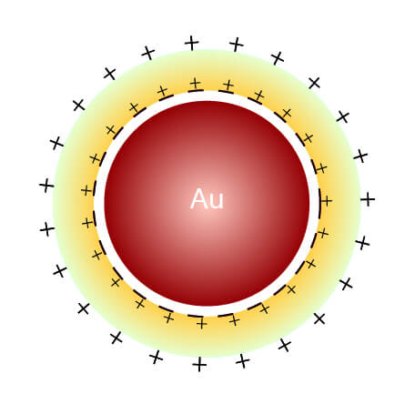 膠體金結(jié)構(gòu)圖 膠體金結(jié)構(gòu)圖