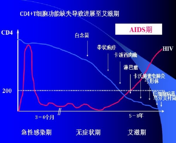 HIV感染下CD4+T細(xì)胞計(jì)數(shù)變化