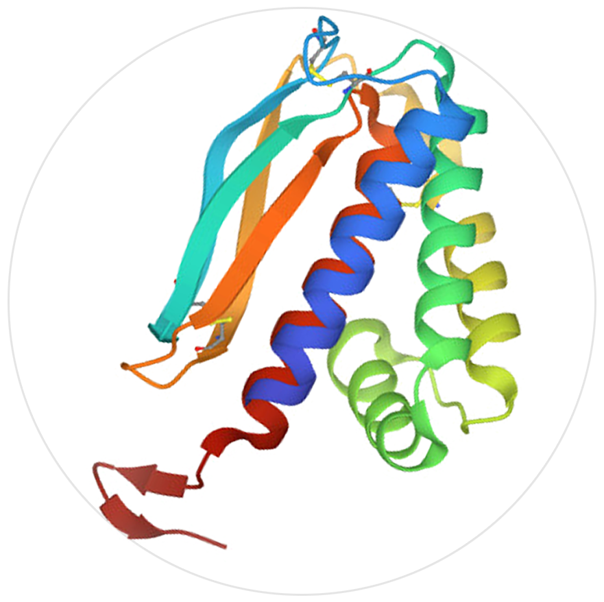 猴痘抗原A29L、A35R、B6R、M1R介紹