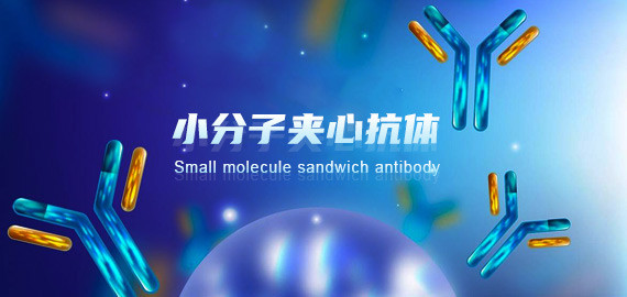 南京歐凱生物成功突破小分子夾心抗體技術開發(fā)壁壘!!!
