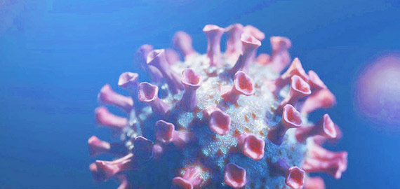 HBP高親和兔單抗，助力IVD備戰(zhàn)COVID-19重癥高峰