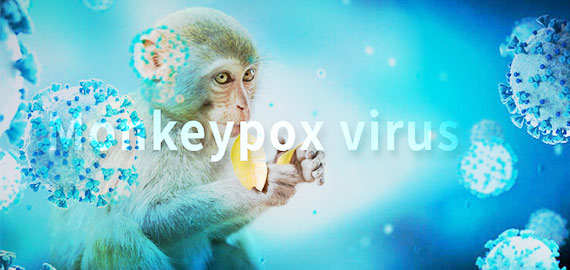 SingleB猴痘項目大顯身手，近100株抗體火速上新！