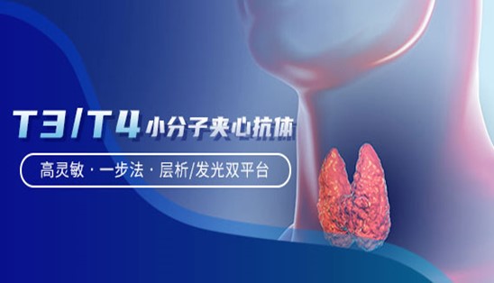 【小分子夾心法】甲功T3/T4，高靈敏&一步法