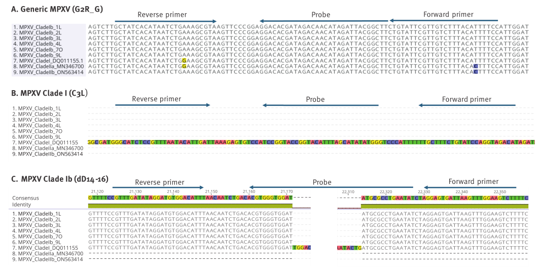 MPXV特異性引物擴(kuò)增結(jié)果